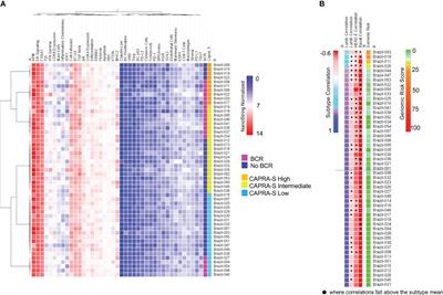 Identification of tumor-agnostic biomarkers for predicting prostate cancer progression and biochemical recurrence